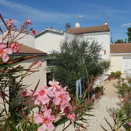 Hébergement de vacances Rdc Centre Aiguillon-sur-mer, Proche Marche, Plages Et Commerces, 4 Pers, Animaux Ok - Fr-1-476-209 LʼAiguillon-sur-Mer